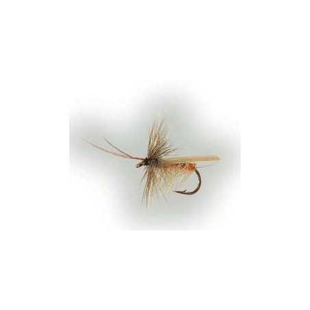 L/H Sedge Olive