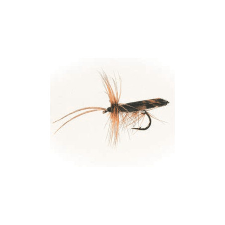 L/H Sedge Silver