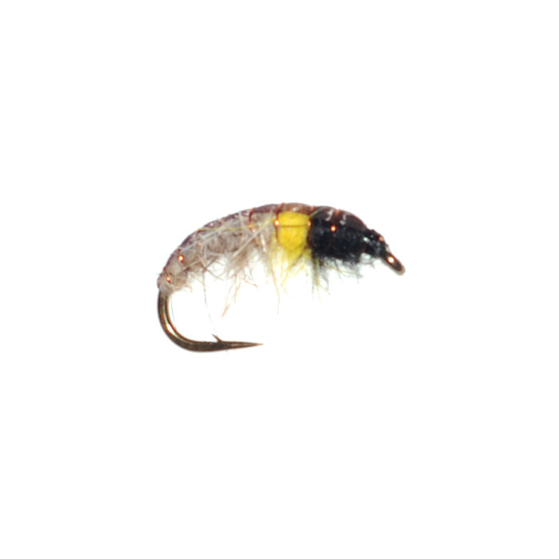 Czech nymf Cream/Black/Yellow/Black