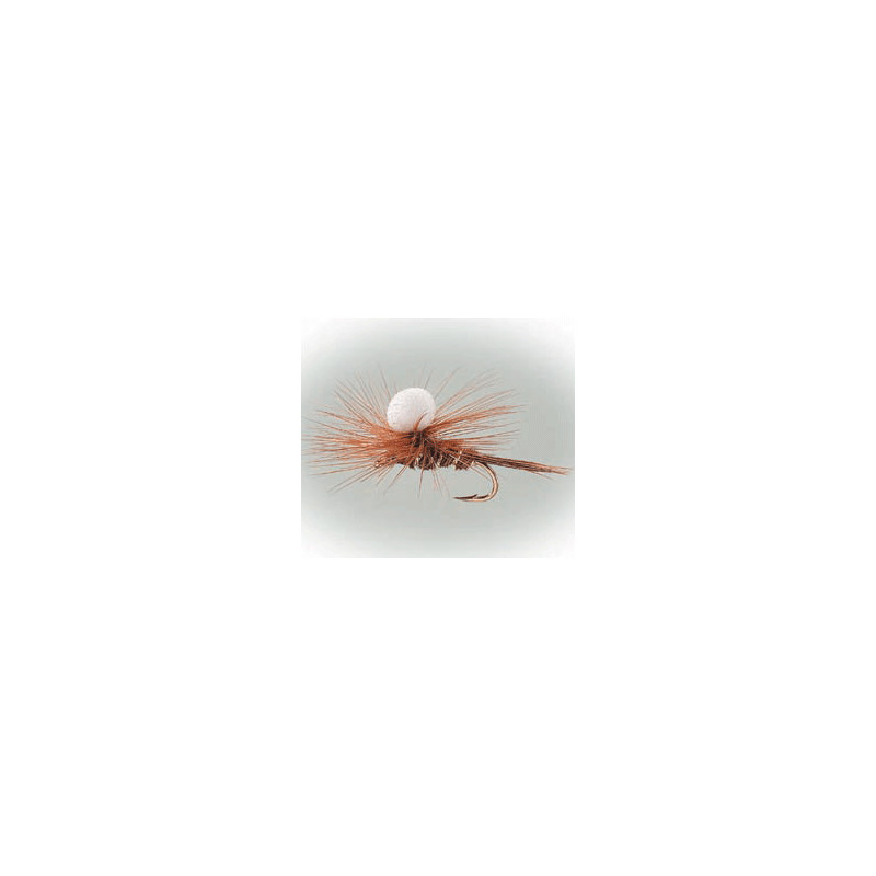 Pheasant Tail