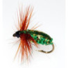 Eucumbene Beettle