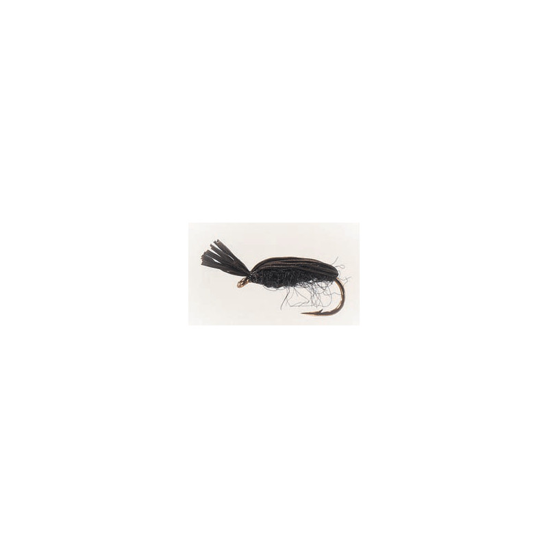 Black Beetle