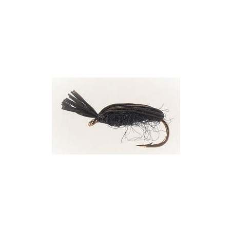 Black Beetle