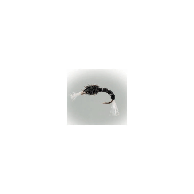 Buzzers Black