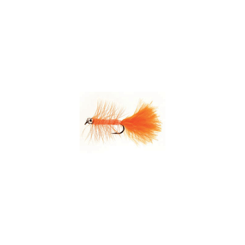Pretty Dog Orange