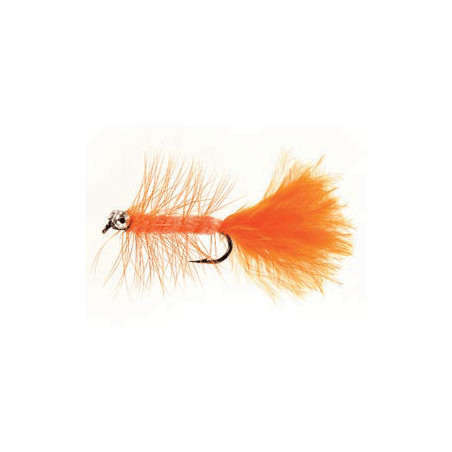 Pretty Dog Orange