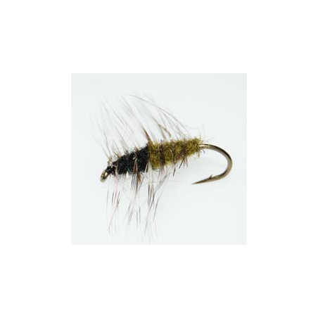 Superpuppa Olivesvart